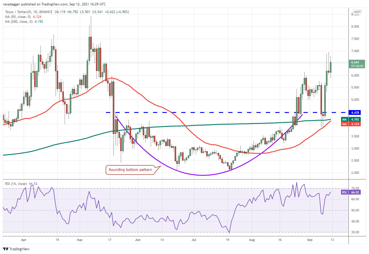 本周最值得关注的5种加密货币：BTC、ALGO、ATOM、XTZ、EGLD